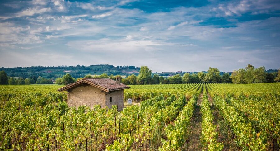 Milan: Franciacorta Winery and Bergamo Day Trip with Lunch - Key things that make this day trip worth it