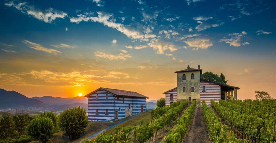 Milan: Franciacorta Winery and Bergamo Day Trip with Lunch - Who this day trip suits best (and who should pass)