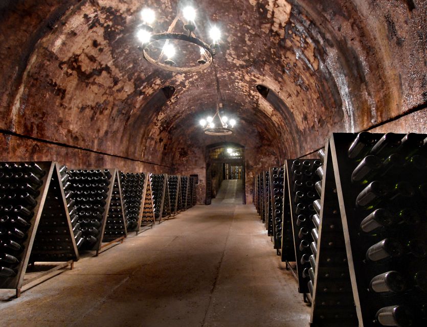 Milan: Franciacorta Winery and Bergamo Day Trip with Lunch - Why Bergamo and Franciacorta is a smarter Milan break than you’d think