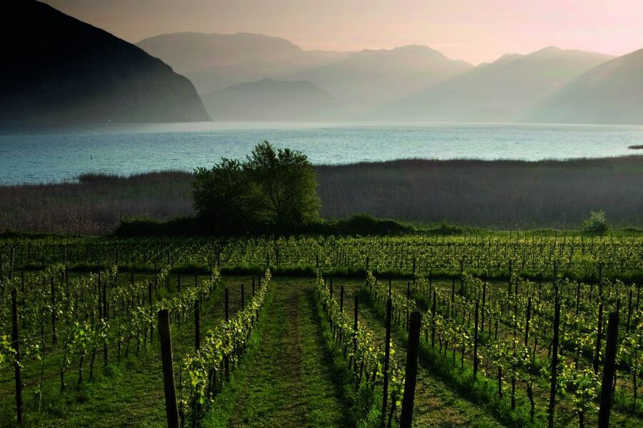 Milan: Franciacorta Winery and Bergamo Day Trip with Lunch - Lake Iseo lunch: why the food location is part of the experience
