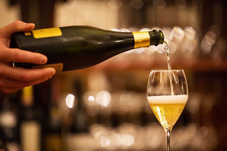 Milan: Wine Tasting Experience in the City Centre - Key highlights at a glance