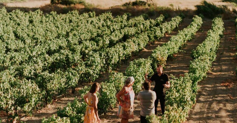 Milos Island: Kostantakis Winery Wine Tasting Experience - Inside the Natural Wine Cave: Storage, Temperature, and Atmosphere