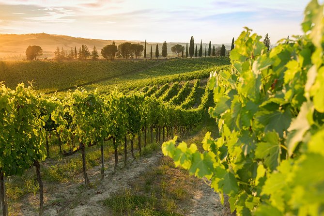 Montalcino: Brunello Wine Tasting & Lunch in a Tuscan Castle - The Tuscan 3-course lunch: what’s on the plate after you taste