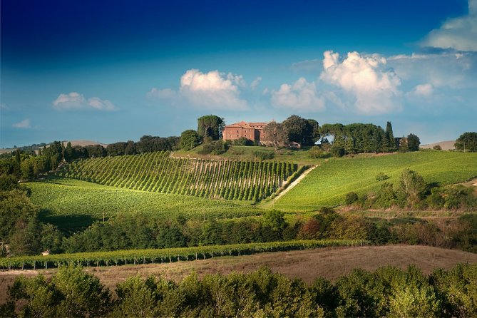 Montalcino: Brunello Wine Tasting & Lunch in a Tuscan Castle - Who should book (and who should skip)?