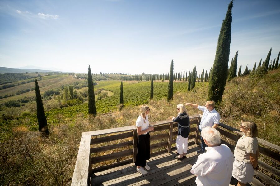 Montalcino: Guided Winery Tour and Wine Tasting - Key points to know before you go