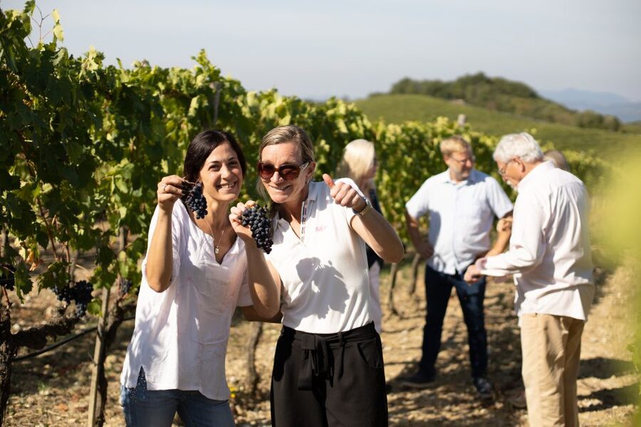 Montalcino: Guided Winery Tour and Wine Tasting - Biodynamic wine basics at Corte Pavone, in plain language