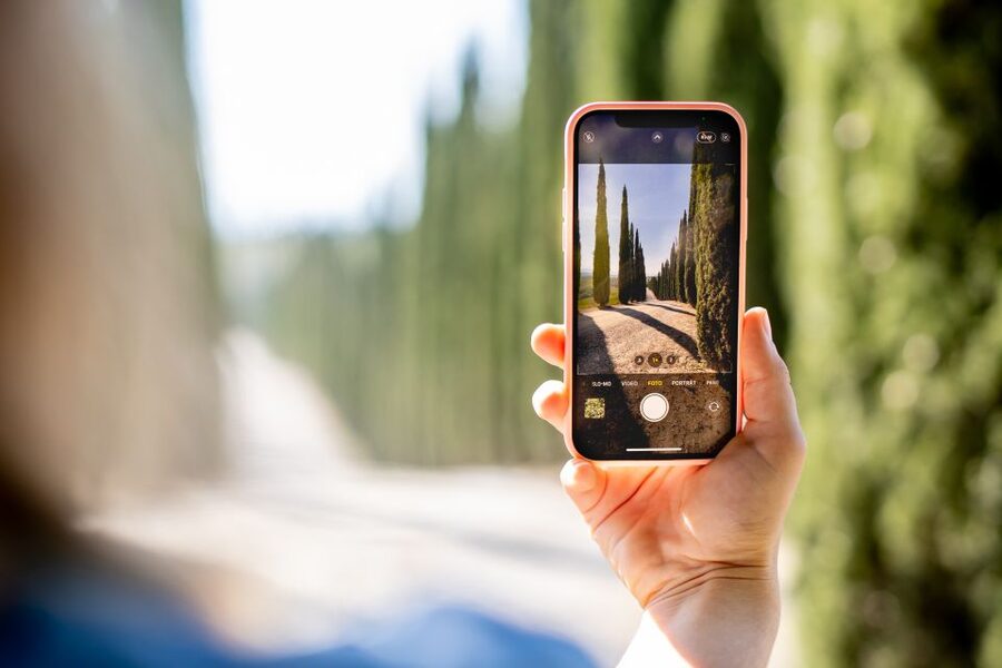 Montalcino: Guided Winery Tour and Wine Tasting - Who should book this winery tour in Montalcino