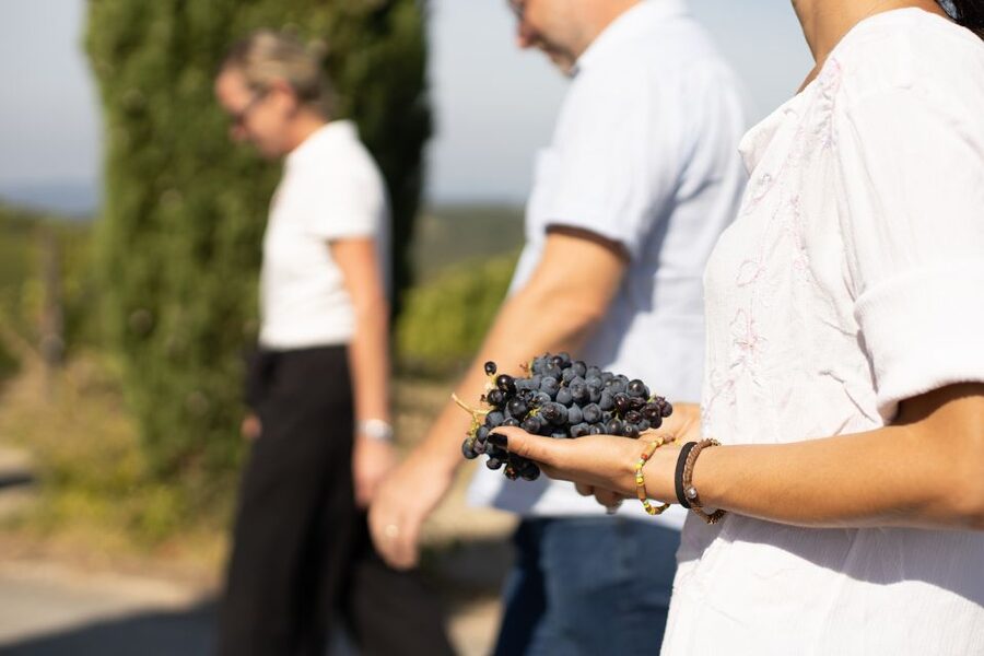 Montalcino: Guided Winery Tour & Gourmet Food Tasting - Choose your tasting path: Dynamic Brunello Cru or the Corte Pavone range overview