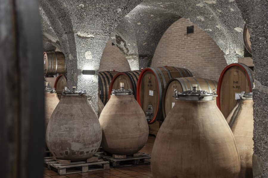 Montalcino: Guided Winery Tour & Gourmet Food Tasting - Food pairing reality check: tasty, but don’t arrive hungry