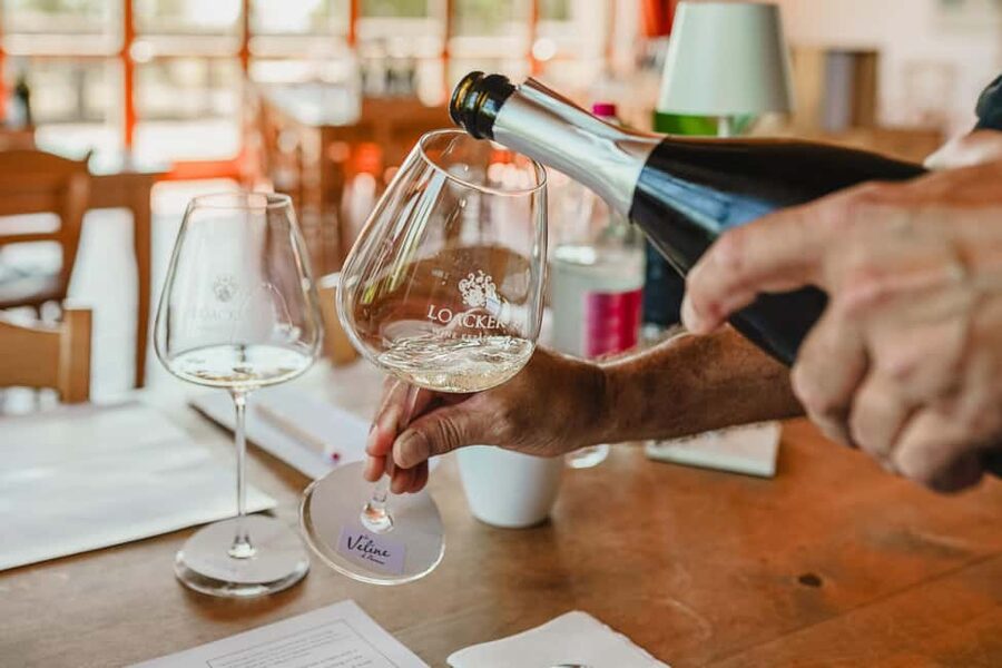 Montalcino: Guided Winery Tour & Gourmet Food Tasting - Your guide matters: friendly explanations in English or Italian