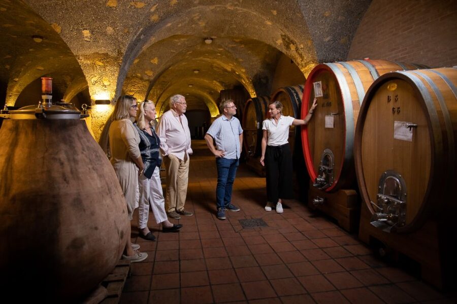 Montalcino: Guided Winery Tour & Gourmet Food Tasting - Timing and pacing: why 2.5 hours works well in Tuscany