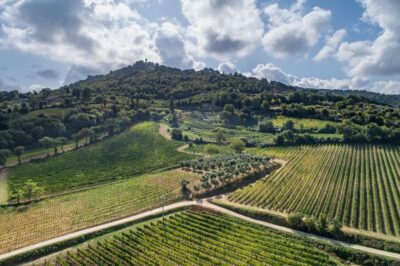 Montalcino: Private Cellar Tour, Wine Tasting & Appetizers - The private cellar tour: where your tasting starts