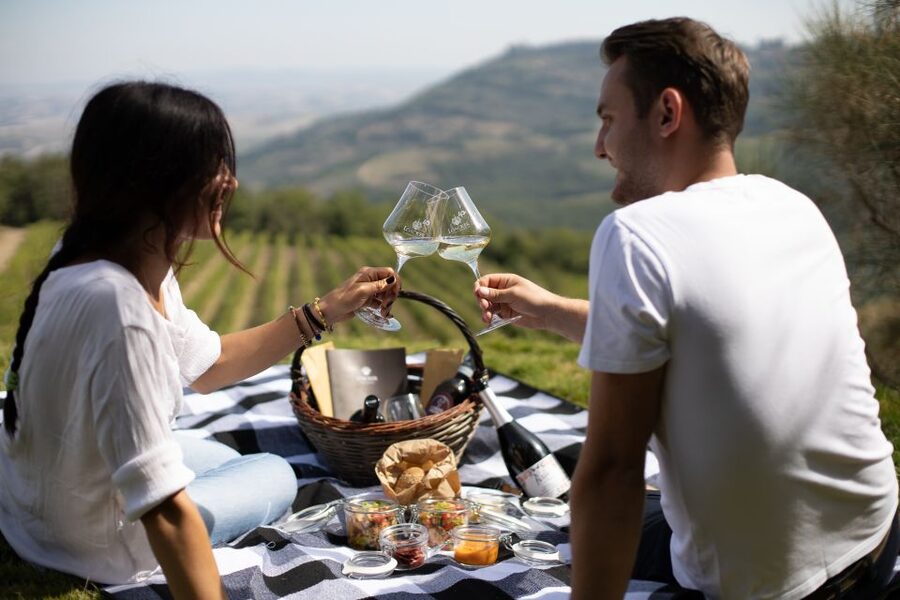 Montalcino: Vineyard Picnic with a Bottle of Wine - Key Highlights Worth Booking