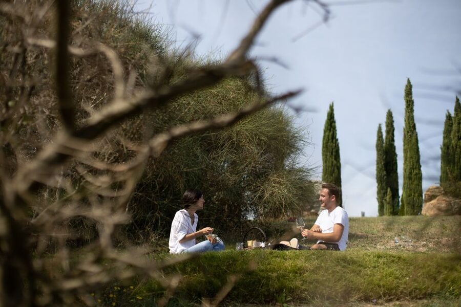 Montalcino: Vineyard Picnic with a Bottle of Wine - Montalcino Vineyards: Why This Picnic Beats a Normal Tasting