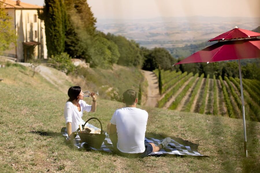 Montalcino: Vineyard Picnic with a Bottle of Wine - The Picnic Basket: Homemade Tuscan Classics, Served at the Right Pace
