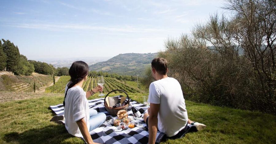 Montalcino: Vineyard Picnic with a Bottle of Wine - Wine Tasting With a View: One Bottle Included (Red, White, or Rosé)
