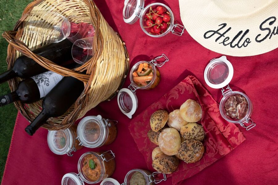 Montalcino: Vineyard Picnic with a Bottle of Wine - Who This Montalcino Picnic With Wine Fits Best