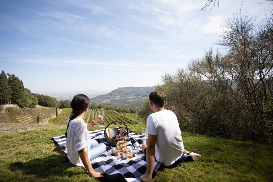 Montalcino: Vineyard Picnic with a Bottle of Wine - Corte Pavone Winery Tour: The Brunello Cru Path in Plain Terms