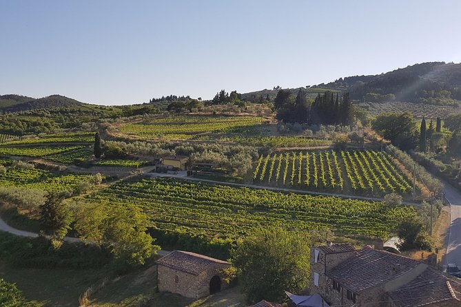 Montefioralle Winery - Tour and Wine Tasting in Chianti - Why Montefioralle Winery feels like real Chianti