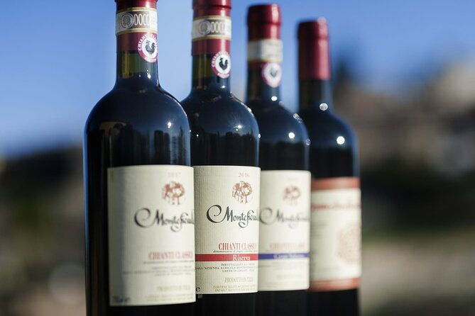 Montefioralle Winery - Tour and Wine Tasting in Chianti - The vineyard and small winery visit: what you actually see