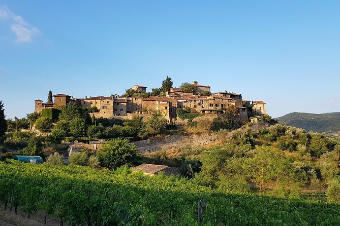Montefioralle Winery - Tour and Wine Tasting in Chianti - Who this tour is best for (and who might want something else)
