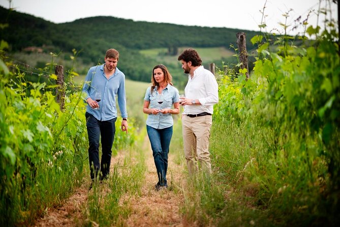 Montefioralle Winery - Tour and Wine Tasting in Chianti - The wine list: what you’ll taste (and what to listen for)