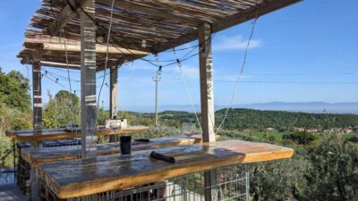 Montepulciano: Artisan Heroic Wine Tasting at the Terrace - The vineyard walk: where Montepulciano grapes meet everyday choices