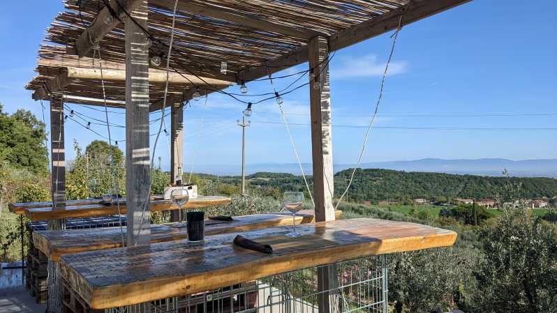 Montepulciano: Artisan Heroic Wine Tasting at the Terrace - The vineyard walk: where Montepulciano grapes meet everyday choices