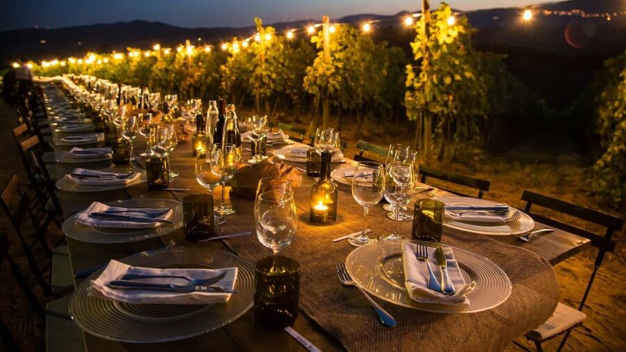 Montepulciano: Tuscan Winery Tour with Wine Tasting & Meal - The vineyard walk and views: 1 hour of fresh air and photo-worthy rows