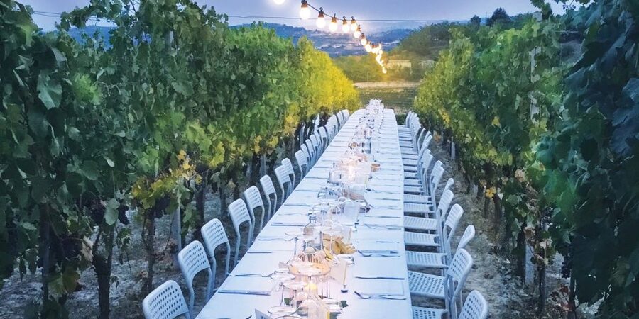 Montepulciano: Tuscan Winery Tour with Wine Tasting & Meal - The vineyard table: a 4-course meal where wine pairing actually matters