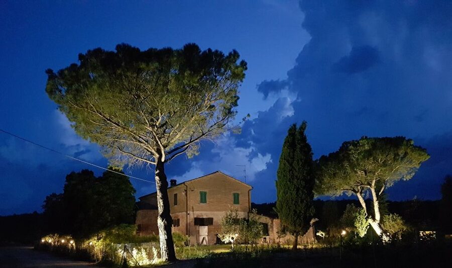 Montepulciano: Tuscan Winery Tour with Wine Tasting & Meal - Timing and pacing: a full experience in about 4 hours