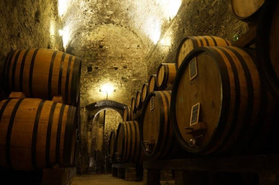 Montepulciano: Wine Tasting and Cellar Tour - Where you’ll go in town (and how to handle the no-car zone)