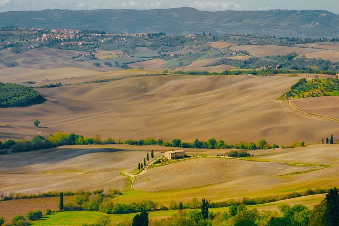 Montepulciano: Wine Tasting & Lunch in a Typical Winery - Quick hits before you go