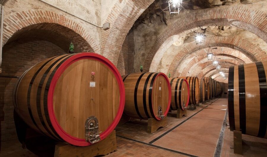 Montepulciano: Winery Tour and Tasting - Appetizers and bread: why food matters in a tasting