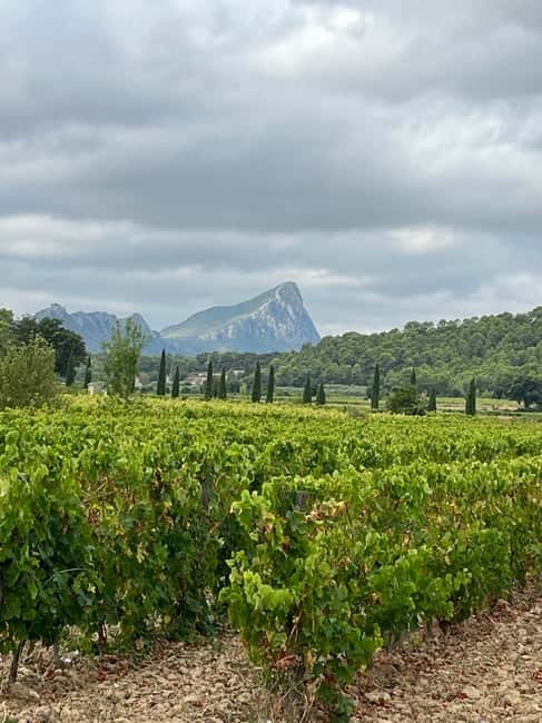 Montpellier: Pic Saint-Loup Wine Tour - Quick take: what makes this tour work