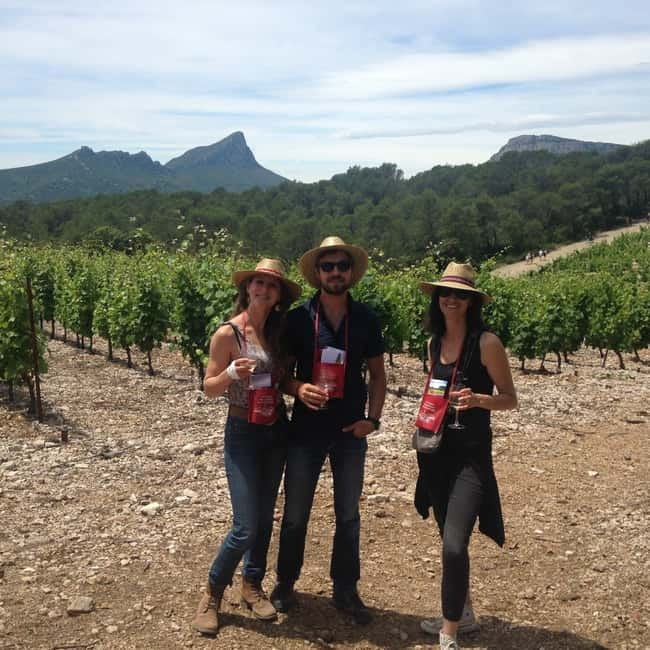 Montpellier: Pic Saint-Loup Wine Tour - Price and value: what $99 covers and what you still need to plan for