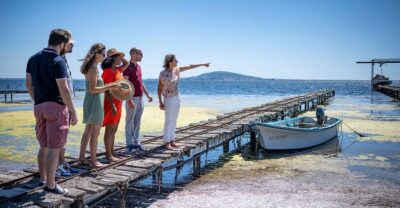 Montpellier Wine and Oyster Tour - The wine estate: Renaissance castle, chapel backdrop, and cellar tastings