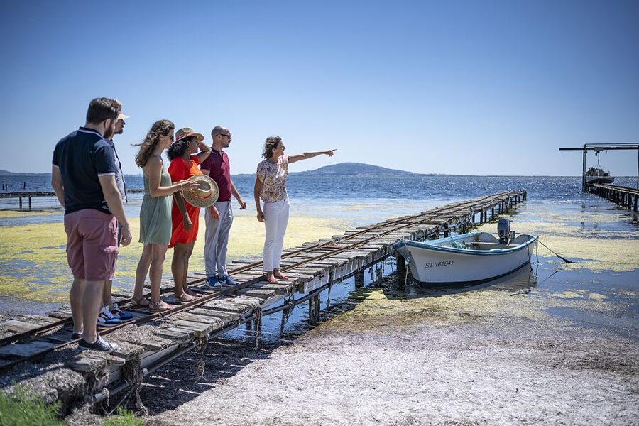 Montpellier Wine and Oyster Tour - The Mediterranean scenery in between stops (and why it matters)