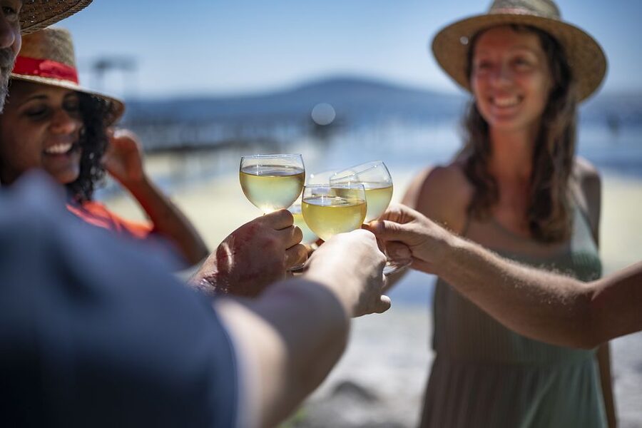 Montpellier Wine and Oyster Tour - Timing, group size, and transport: how the day stays comfortable