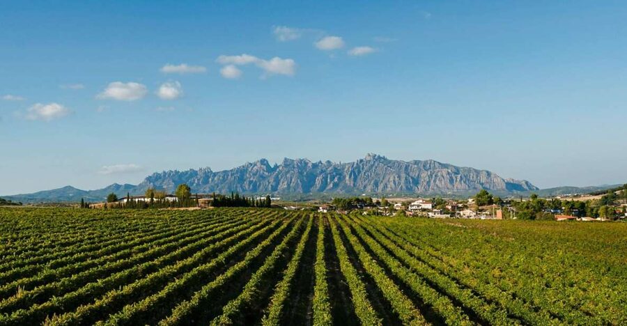 Montserrat & Cava Wineries Day Trip from Barcelona w/ Pickup - Montserrat and cava: the rare mix