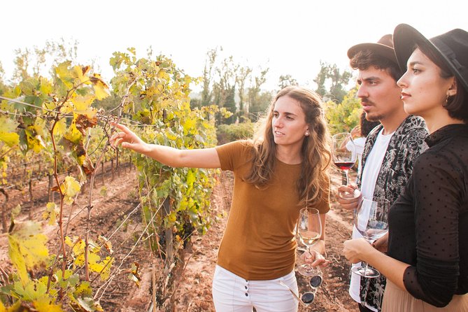 Montserrat & Cogwheel Train, Gourmet Wine Tasting & Tapas/Lunch - Oller del Mas-style winery visit: 10th-century setting and a tasting you can judge