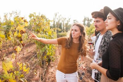 Montserrat & Cogwheel Train, Gourmet Wine Tasting & Tapas/Lunch - Food at Montserrat: monk-made treats, plus a short window to enjoy it