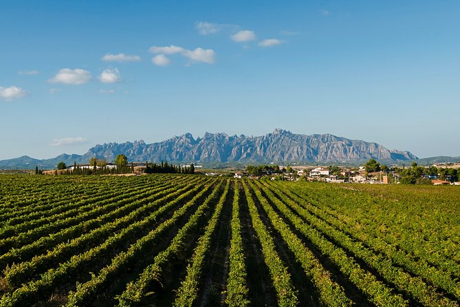 Montserrat,Vineyard, Wine Tasting Small Group Tour & Hotel Pickup - Montserrat Museum: worth it if you like art enough to spend 90 minutes