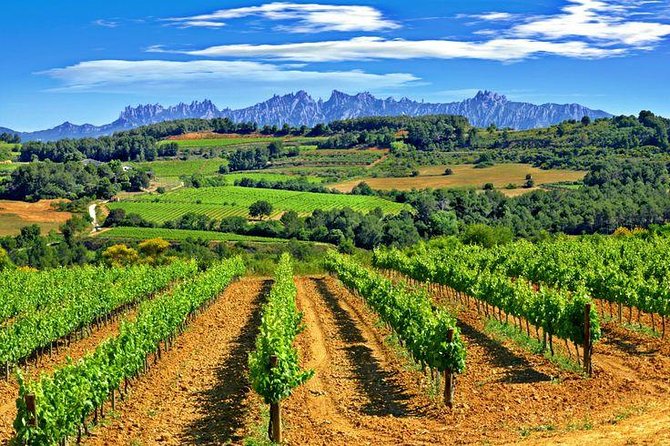 Montserrat,Vineyard, Wine Tasting Small Group Tour & Hotel Pickup - Penedès to Sant Sadurní: the cava story from vineyards to town facades