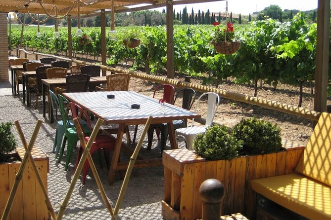 Montserrat & Winery Visit Tour with Traditional Farmhouse Lunch - The smartest part of this day: pairing Montserrat with Penedès wine
