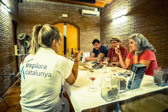 Montserrat & Winery Visit Tour with Traditional Farmhouse Lunch - Free time strategy: viewpoints, museum options, and the cross of St. Miquel