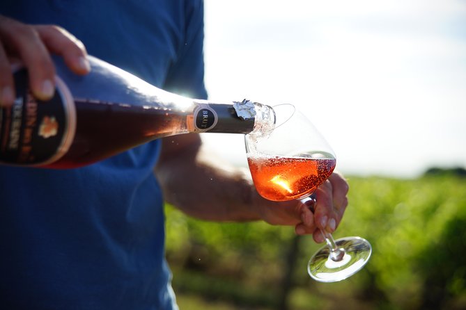 Morning - Loire Valley Wine Tour & Food Pairing, Vouvray - Key things to know before you go