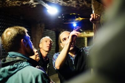 Morning - Loire Valley Wine Tour & Food Pairing, Vouvray - The production lesson: soils, vine work, and why Chenin changes so much