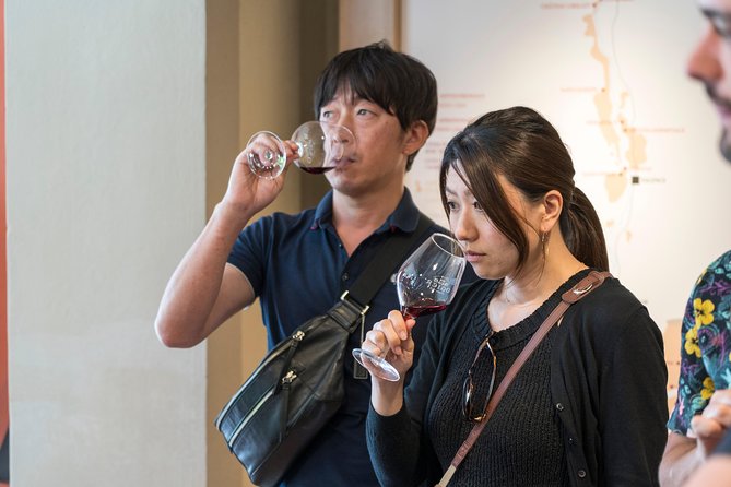 Morning Wine Tour to Chateauneuf du Pape from Avignon - Riding the Rhône Valley to Châteauneuf-du-Pape: why the drive matters