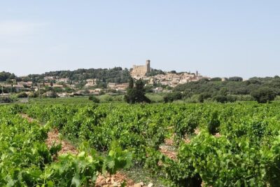 Morning Wine Tour to Chateauneuf du Pape from Avignon - Stop 1 at the Chateau de Chateauneuf-du-Pape: 30 minutes of perspective